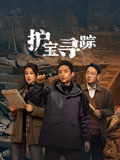 护宝寻踪海报